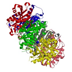 Image of CATH 5lhv