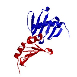 Image of CATH 5lhx