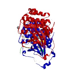 Image of CATH 5lih