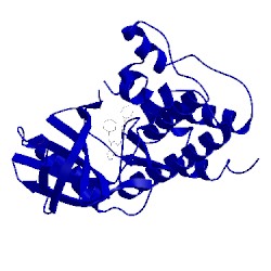 Image of CATH 5ljj