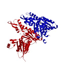 Image of CATH 5ljw