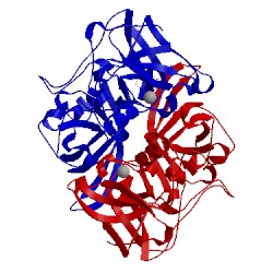 Image of CATH 5lkg