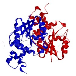 Image of CATH 5llt