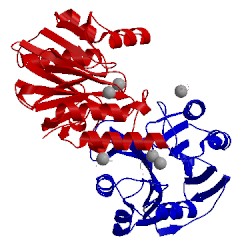 Image of CATH 5lm6