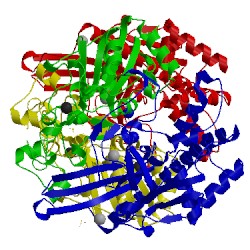 Image of CATH 5lmm