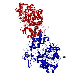 Image of CATH 5lo9