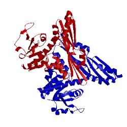 Image of CATH 5loc