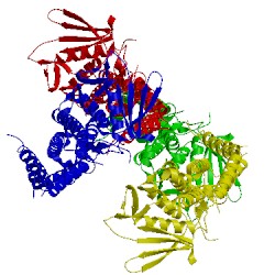 Image of CATH 5lp2