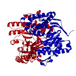 Image of CATH 5lpq