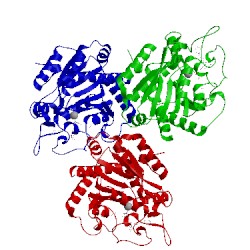 Image of CATH 5lrk