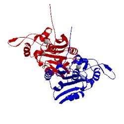 Image of CATH 5lrp