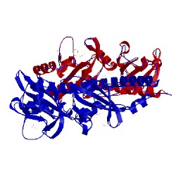 Image of CATH 5ltx