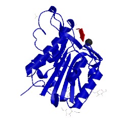 Image of CATH 5lu9