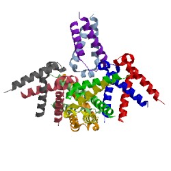 Image of CATH 5lus