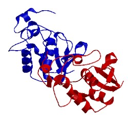 Image of CATH 5lw5