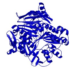 Image of CATH 5lw7