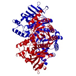 Image of CATH 5lx5