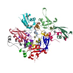 Image of CATH 5lxy