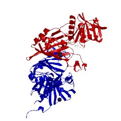 Image of CATH 5m6d