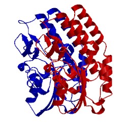 Image of CATH 5mal