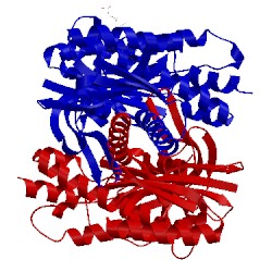 Image of CATH 5mbj