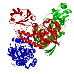 Image of CATH 5mbt