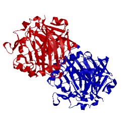 Image of CATH 5mcm