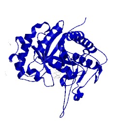 Image of CATH 5mel