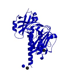 Image of CATH 5mg0