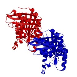 Image of CATH 5mn8