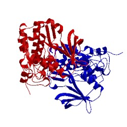 Image of CATH 5mo7