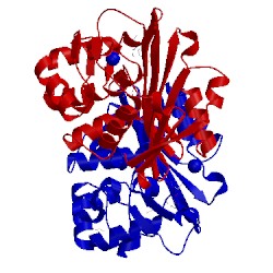 Image of CATH 5mox