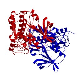 Image of CATH 5mpj