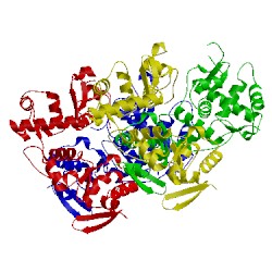 Image of CATH 5msn