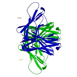 Image of CATH 5mx3