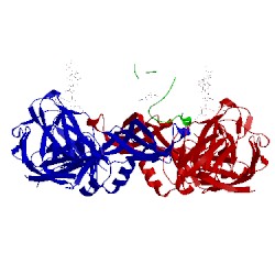 Image of CATH 5n09