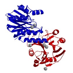 Image of CATH 5n4s