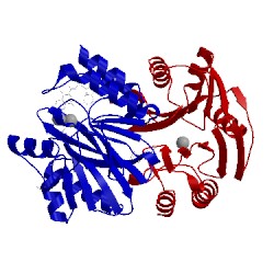 Image of CATH 5n58