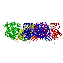 Image of CATH 5n5s