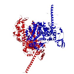 Image of CATH 5n69