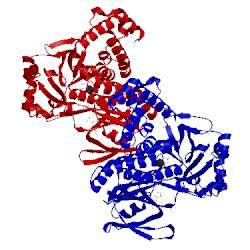 Image of CATH 5nab