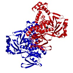 Image of CATH 5nak