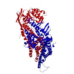 Image of CATH 5nbd