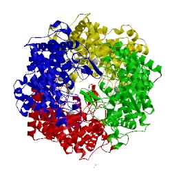 Image of CATH 5nh4