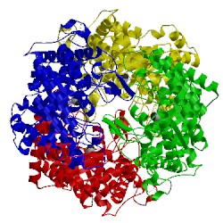 Image of CATH 5nh5