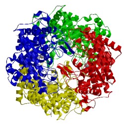 Image of CATH 5nh7