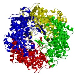 Image of CATH 5nh8