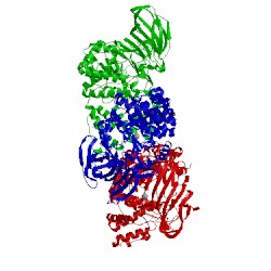 Image of CATH 5nie