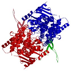 Image of CATH 5nj3