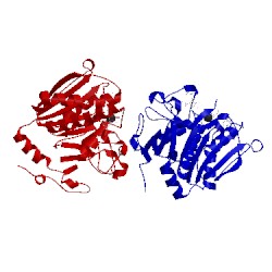 Image of CATH 5nrb